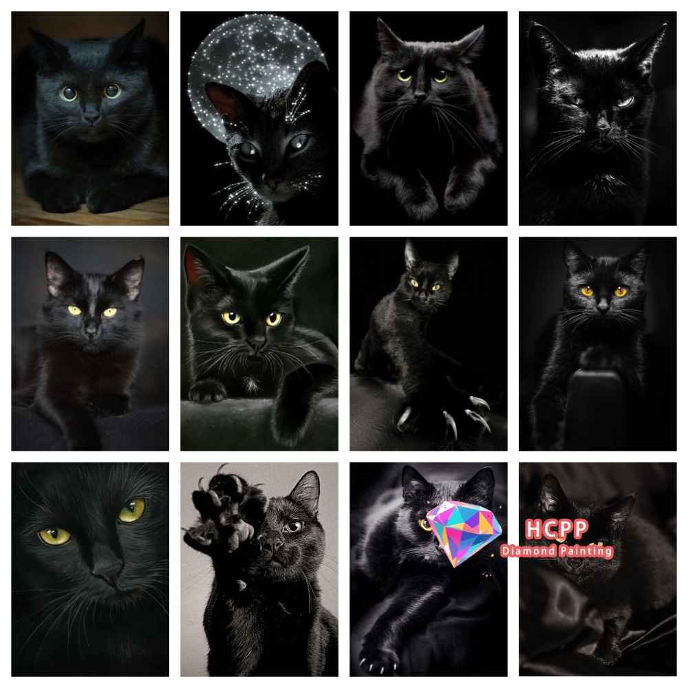 Art Y Craft - unframe Black Cat Animal Diamond Painting