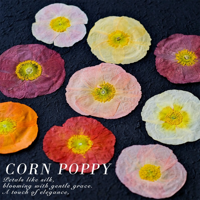 1pcs,Nature Field Poppy Presse - Art Y Craft avis et prix