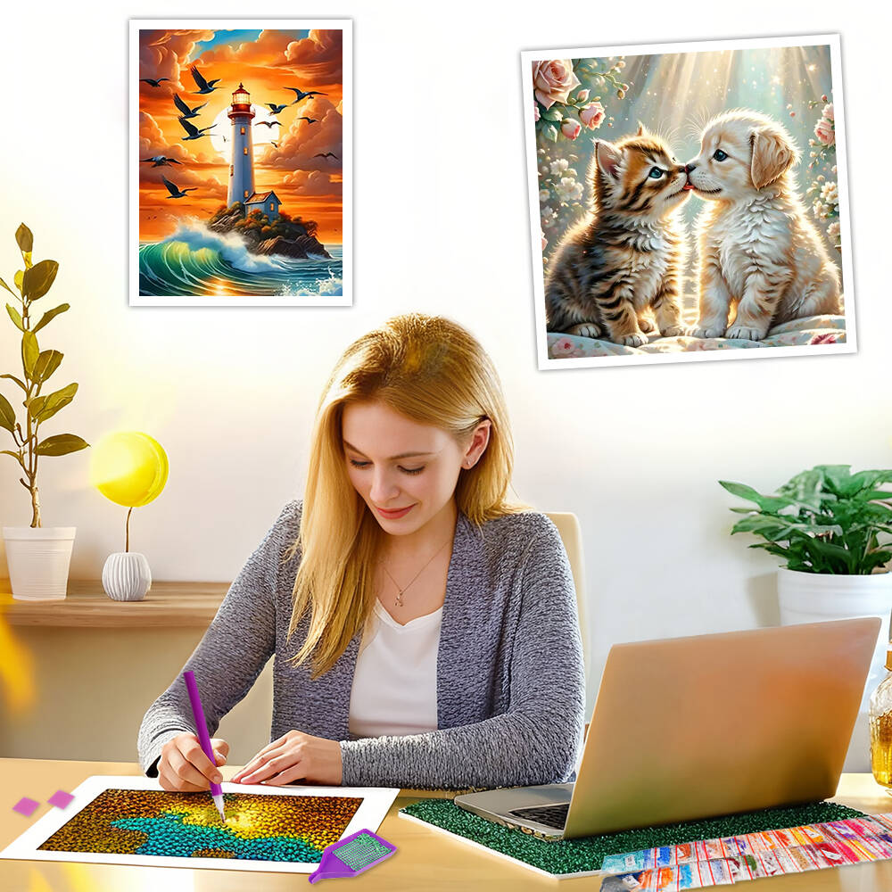 Frameless, DIY 5D Diamond Pain - Art Craft Resin avis et prix