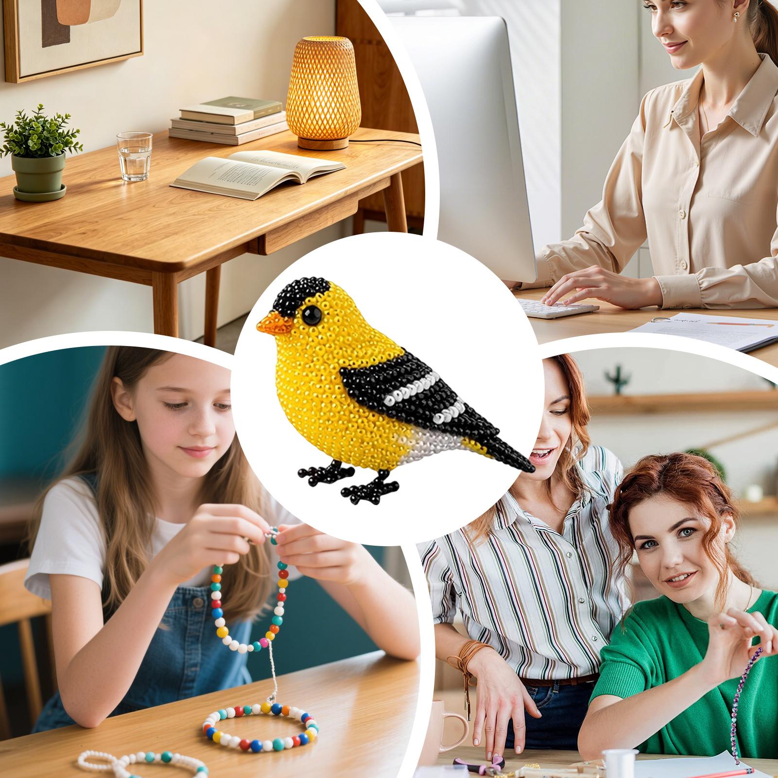 DIY Bird Beading Kit Handmade  - Art Craft Rainbow avis et prix