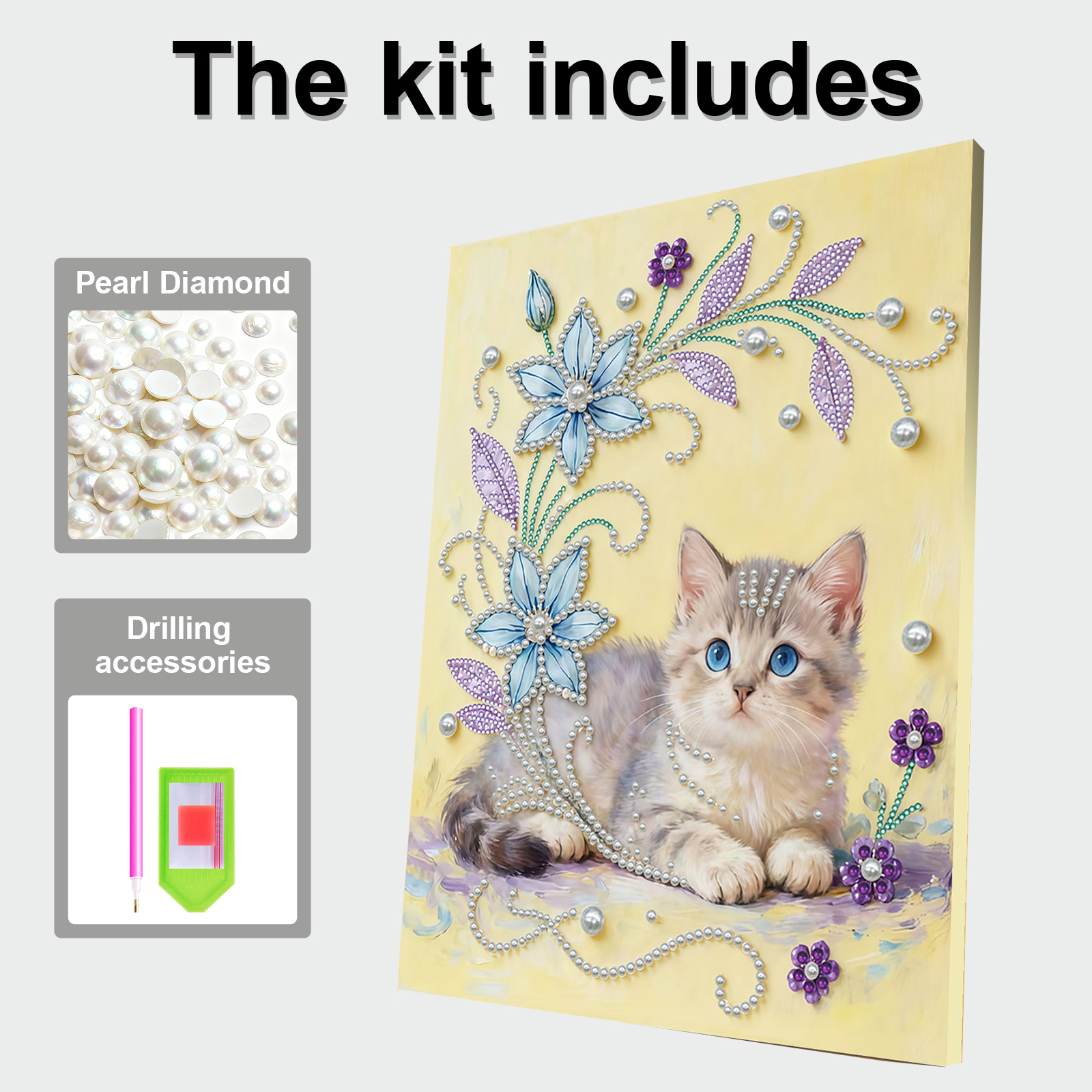 DIY Pearl Art Painting for Adu - Art Craft Picture avis et prix